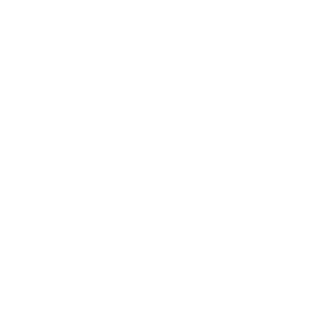 Daniel Light House